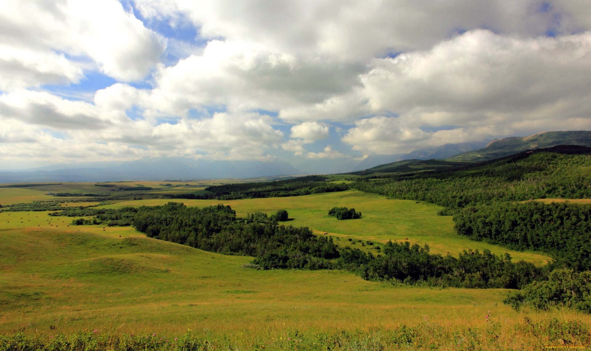 Луга Башкортостана